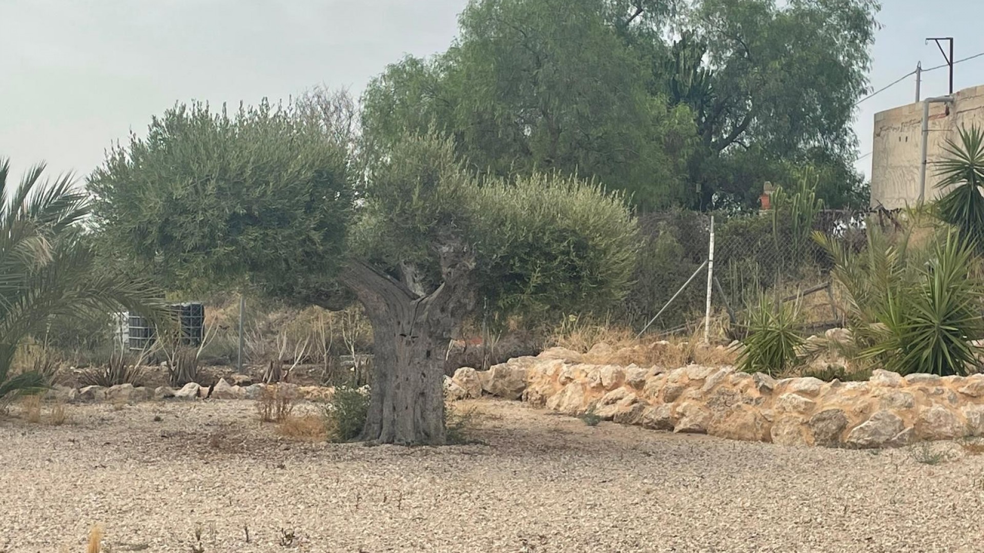 Venta - Finca Propiedad rural -
Abanilla