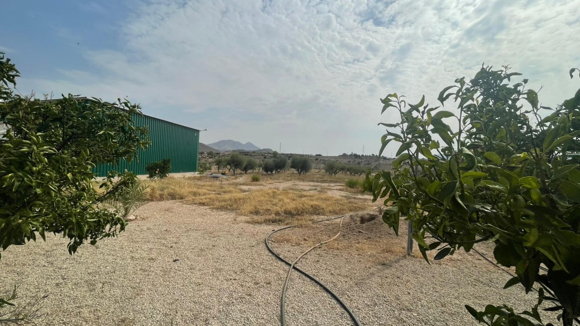 Venta - Finca Propiedad rural -
Abanilla