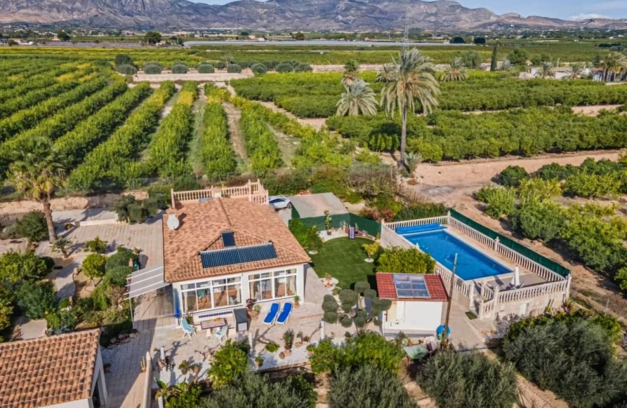 Venta - Finca Propiedad rural -
Albatera