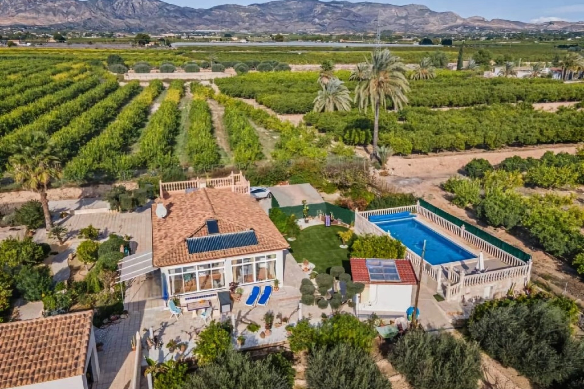 Venta - Finca Propiedad rural -
Albatera