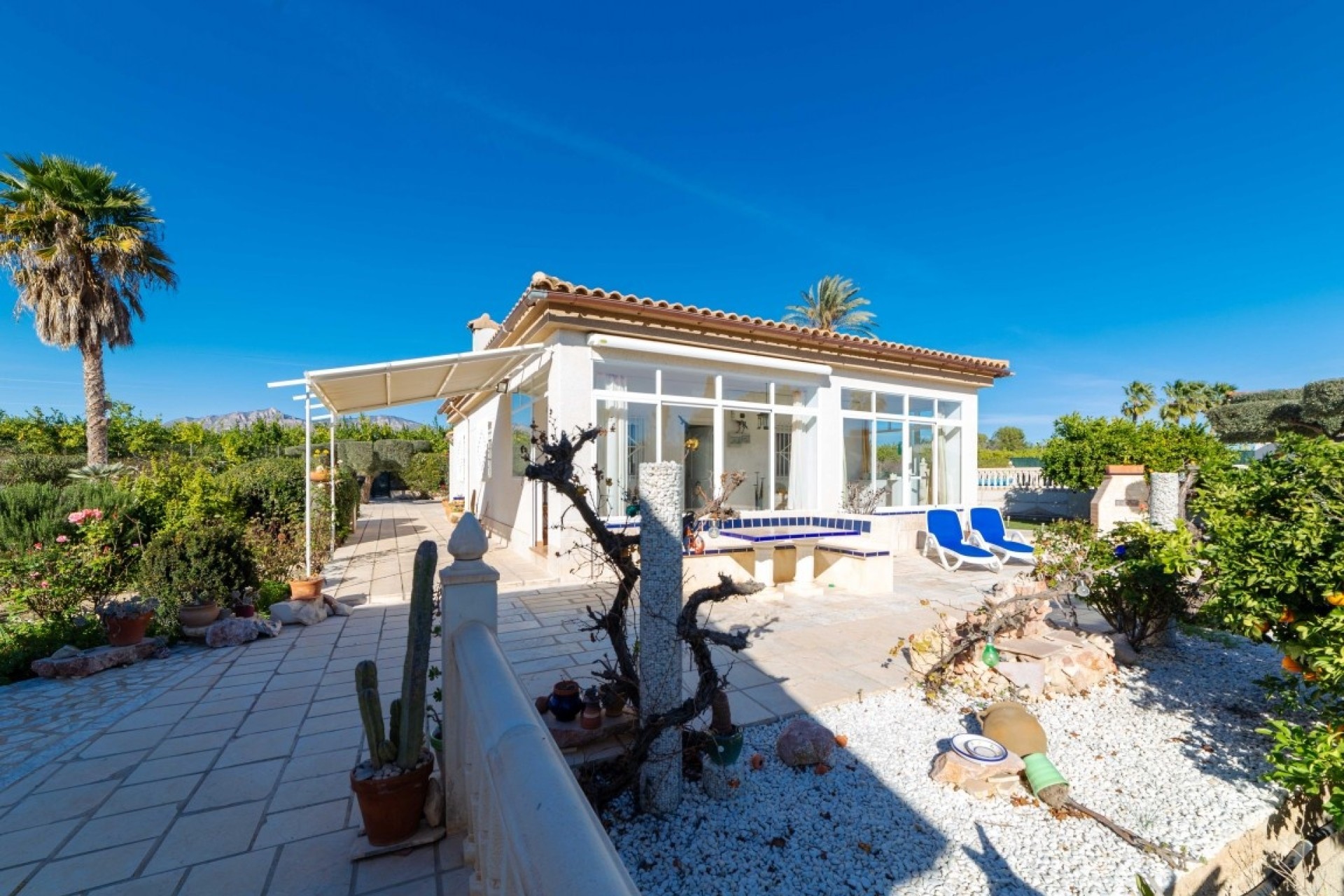 Venta - Finca Propiedad rural -
Albatera