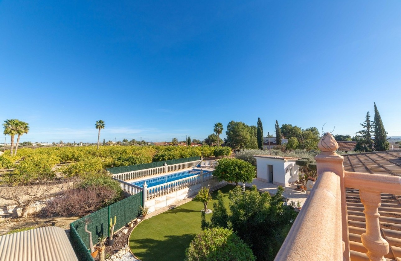 Venta - Finca Propiedad rural -
Albatera