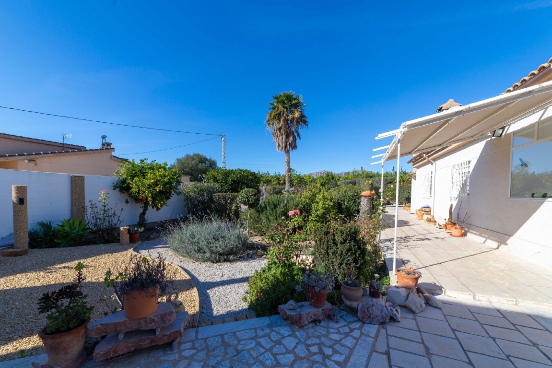 Venta - Finca Propiedad rural -
Albatera