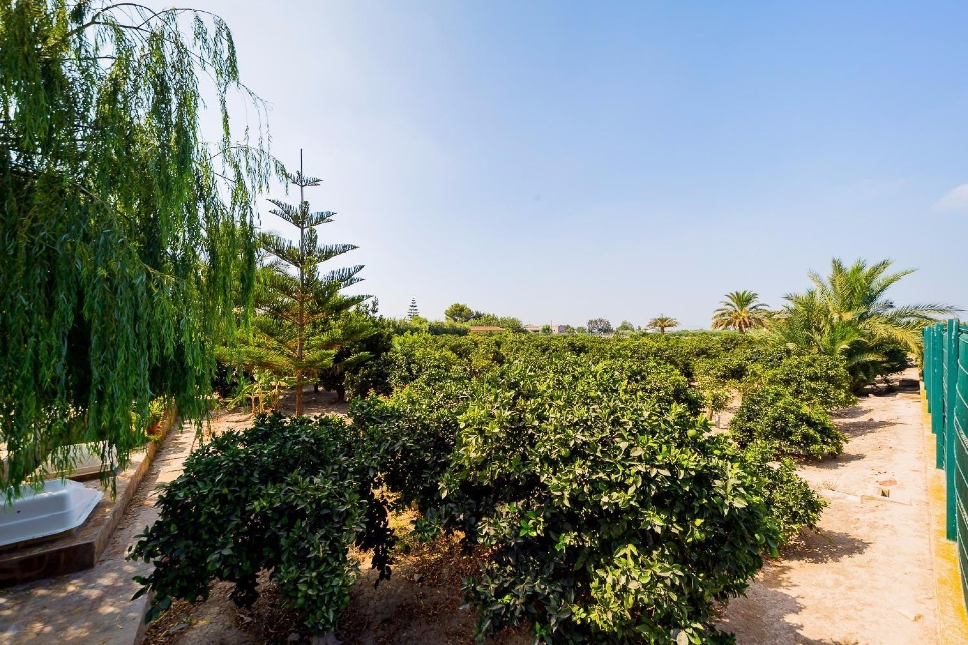 Venta - Finca Propiedad rural -
Almoradí