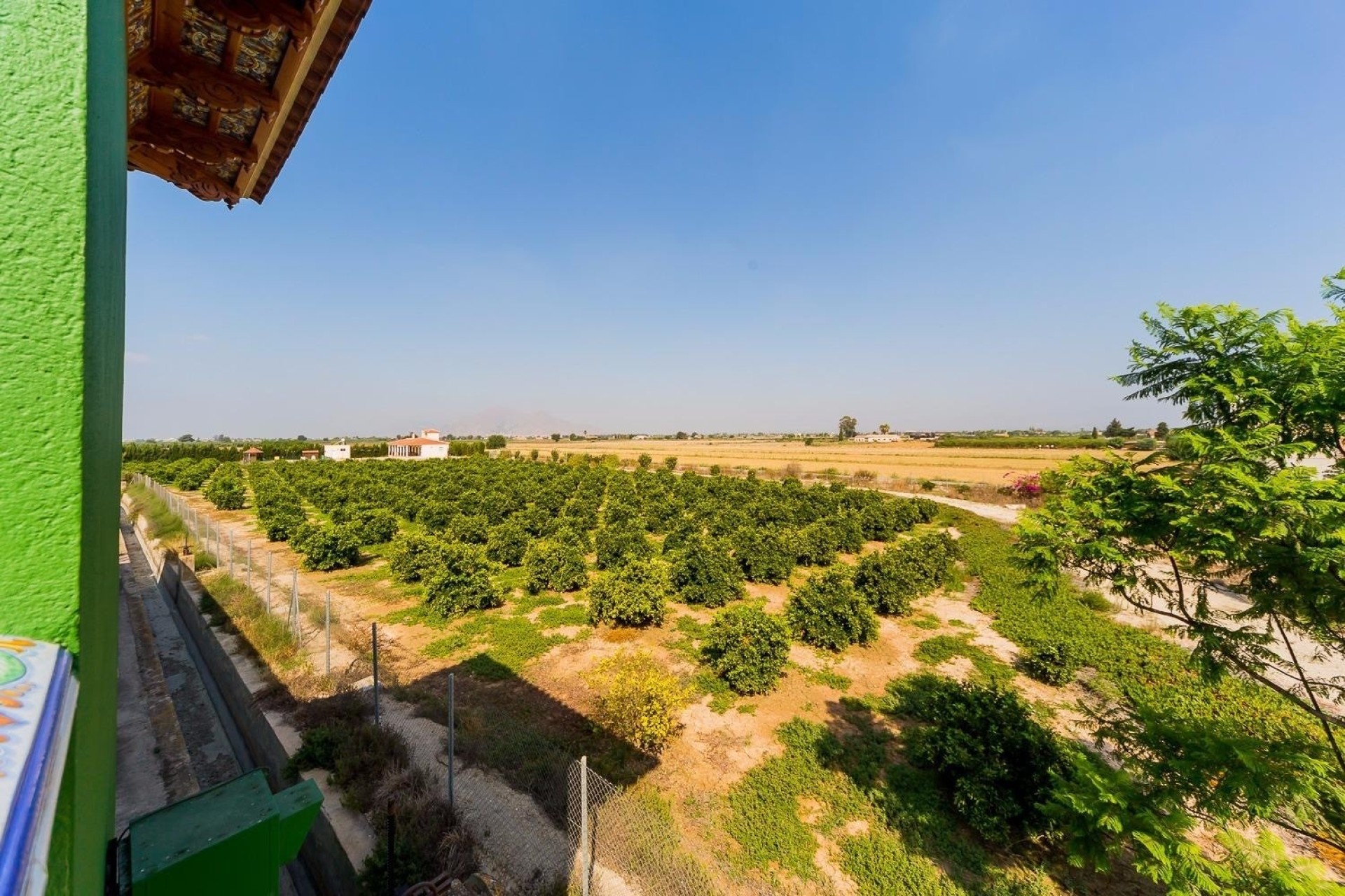 Venta - Finca Propiedad rural -
Almoradí