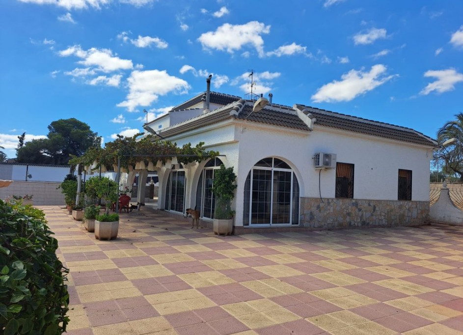 Venta - Finca Propiedad rural -
Almoradí