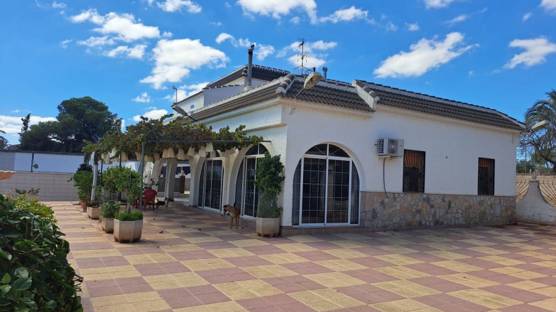 Venta - Finca Propiedad rural -
Almoradí