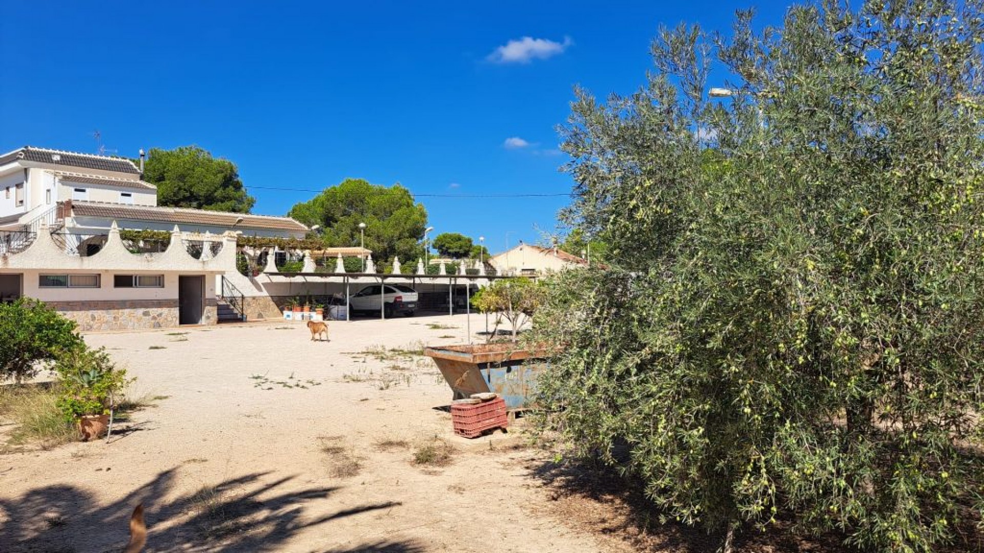Venta - Finca Propiedad rural -
Almoradí