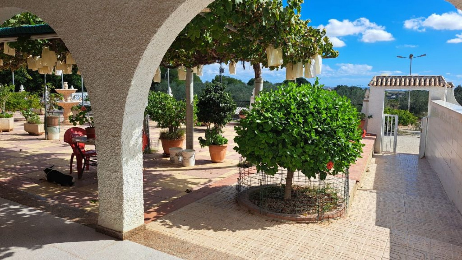 Venta - Finca Propiedad rural -
Almoradí