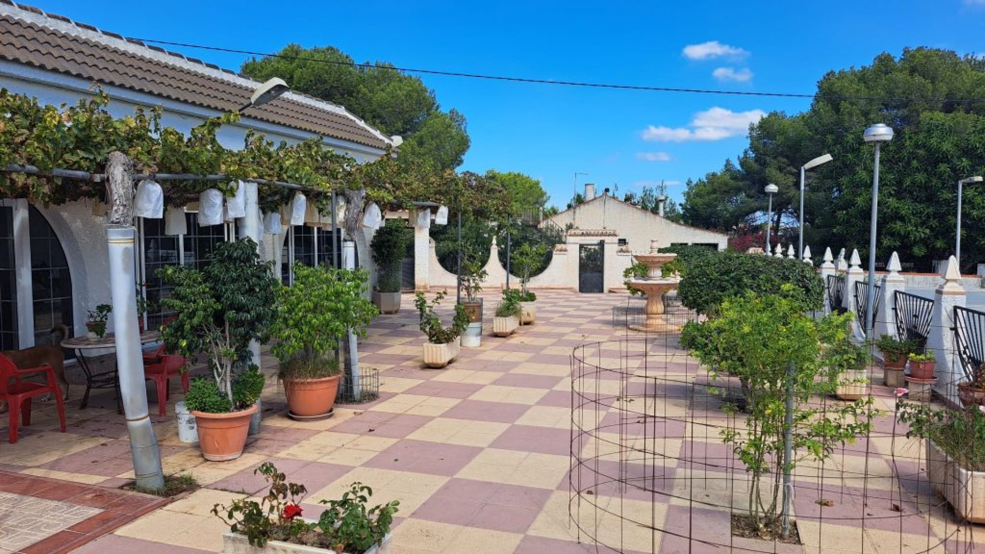 Venta - Finca Propiedad rural -
Almoradí