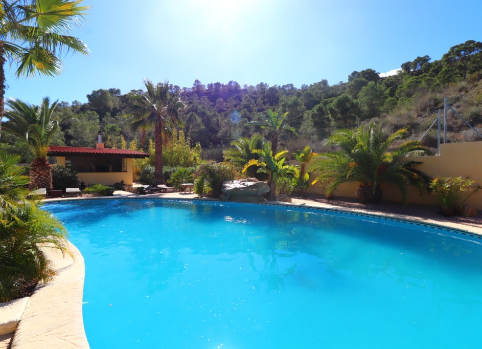 Venta - Finca Propiedad rural -
Aspe - Aspe - Country