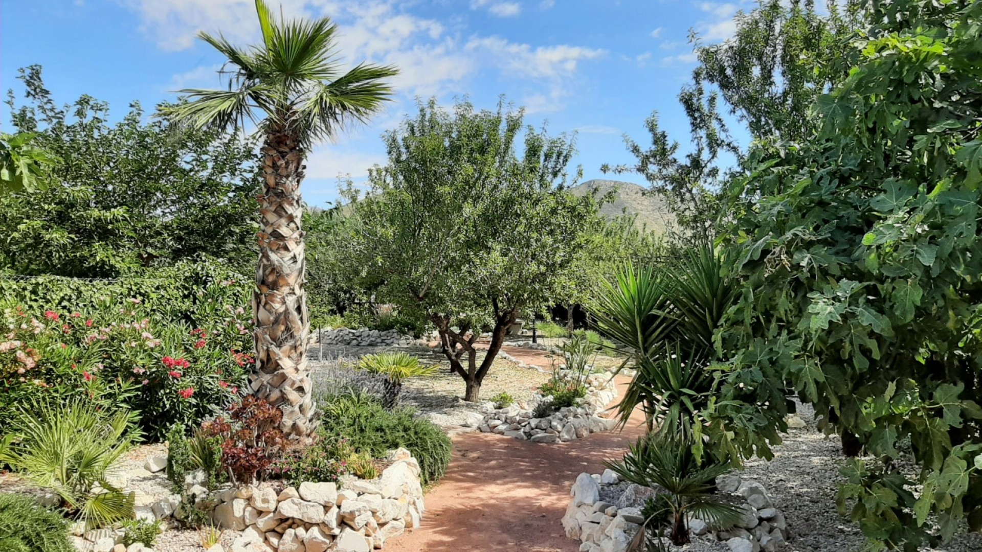 Venta - Finca Propiedad rural -
Barbarroja