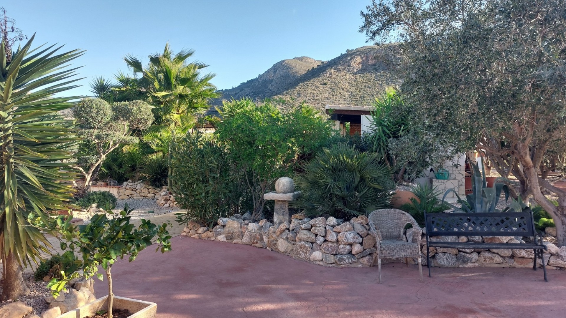 Venta - Finca Propiedad rural -
Barbarroja