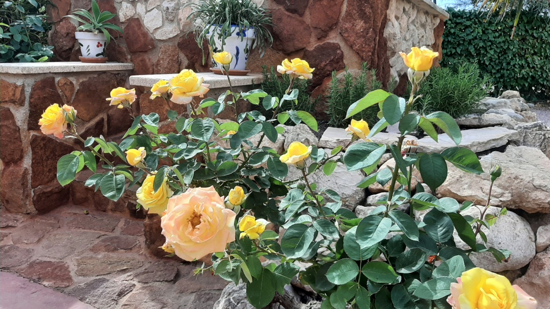 Venta - Finca Propiedad rural -
Barbarroja