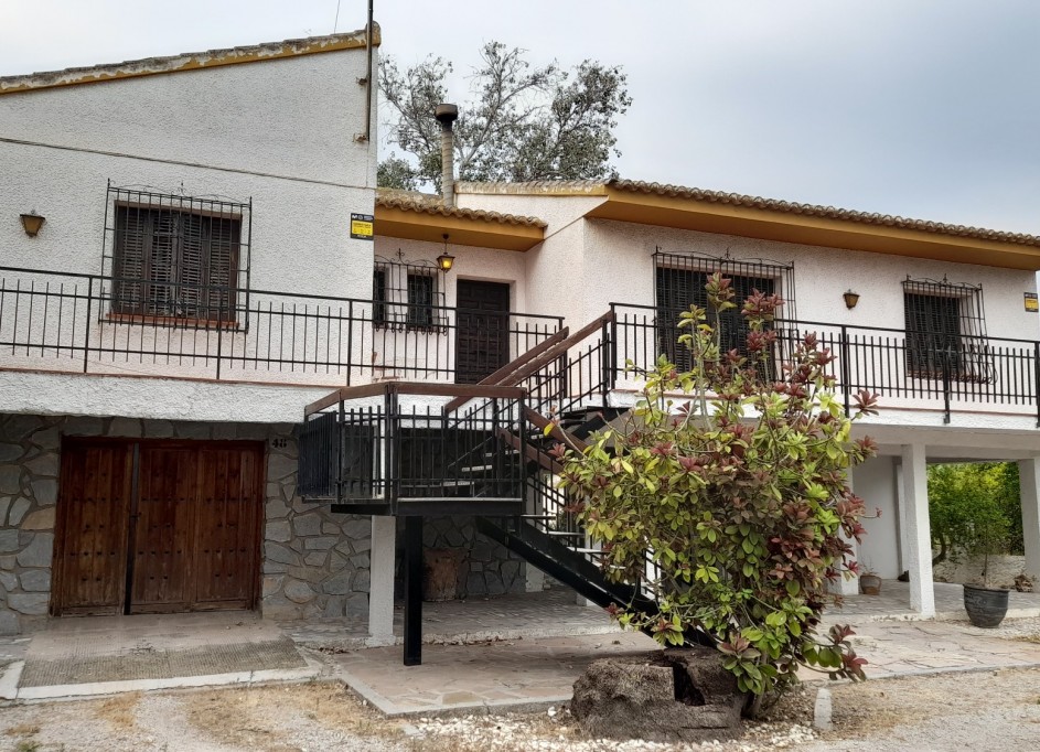 Venta - Finca Propiedad rural -
Benejúzar