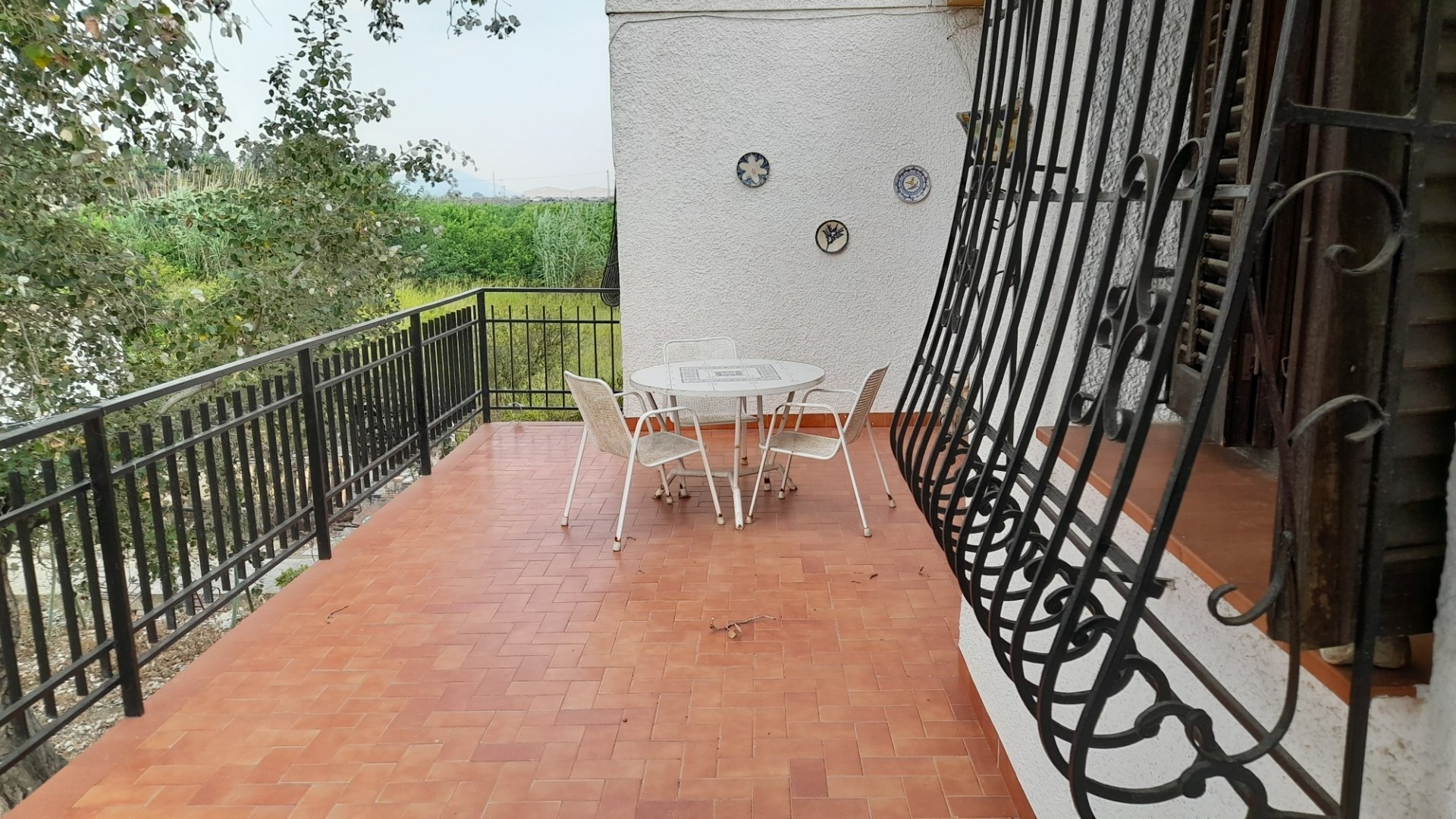 Venta - Finca Propiedad rural -
Benejúzar