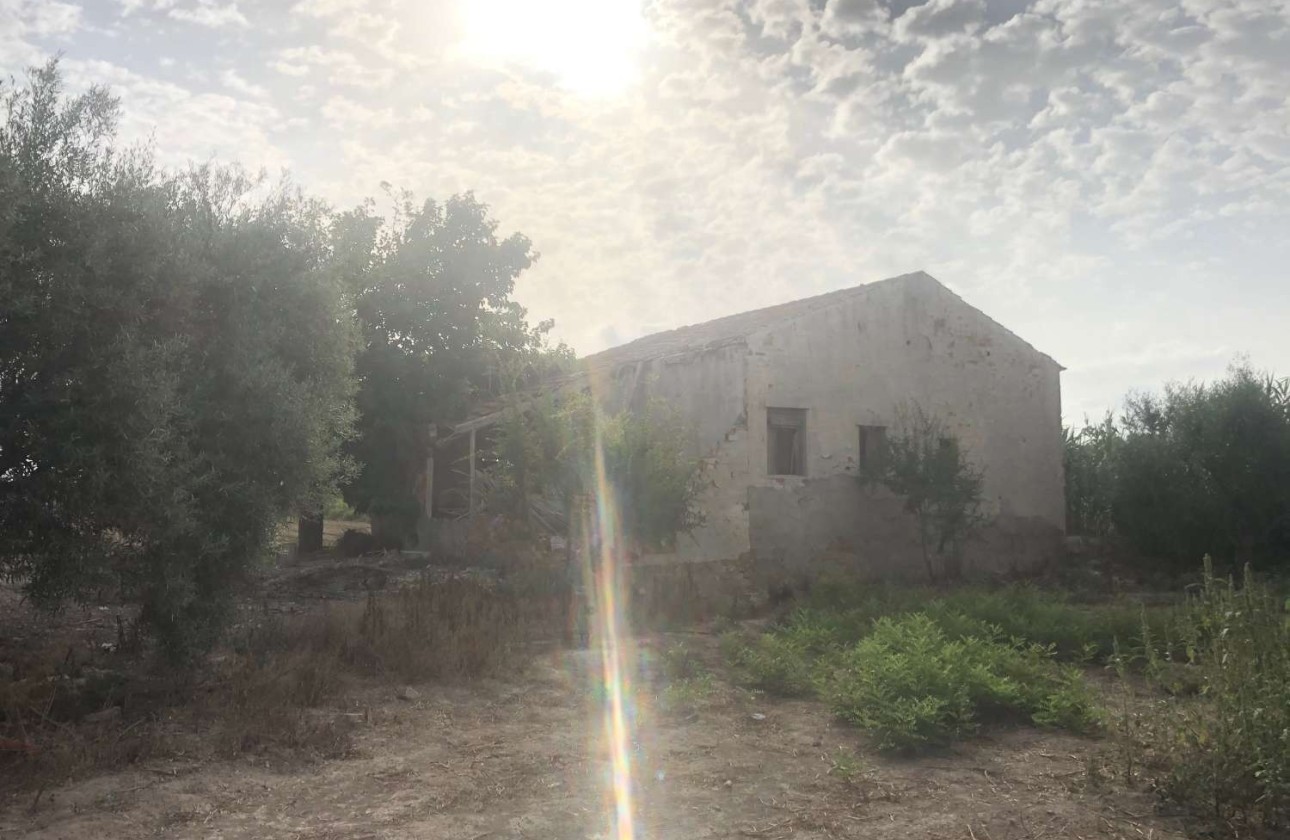 Venta - Finca Propiedad rural -
Callosa de Segura