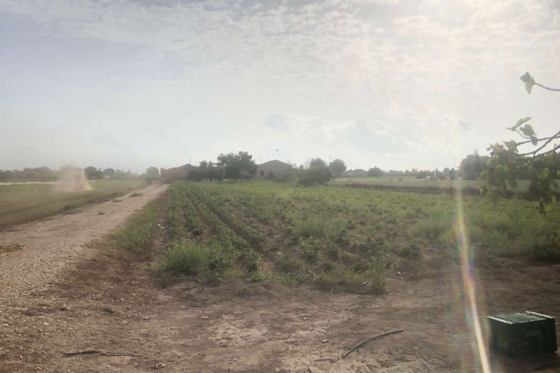 Venta - Finca Propiedad rural -
Callosa de Segura