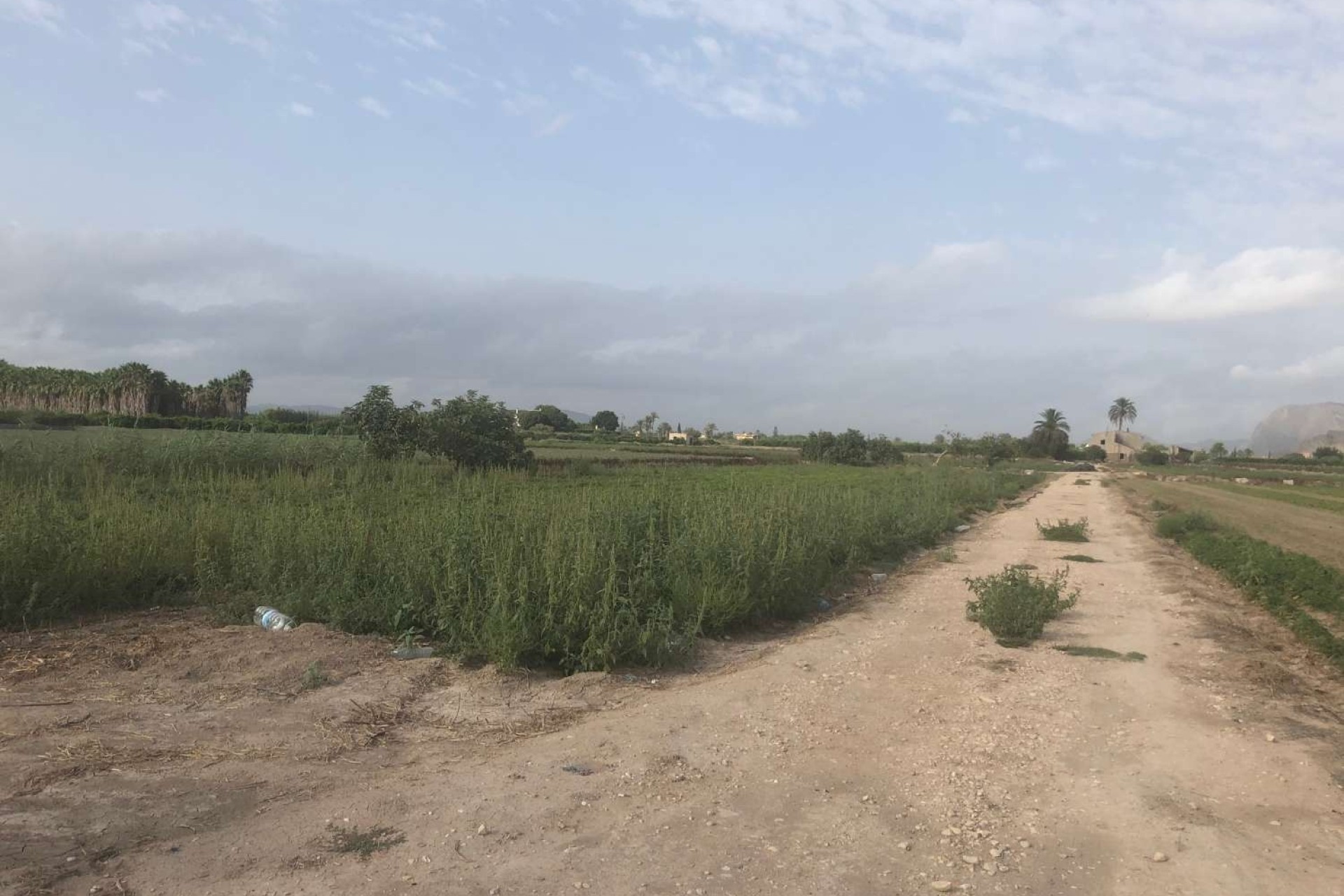 Venta - Finca Propiedad rural -
Callosa de Segura