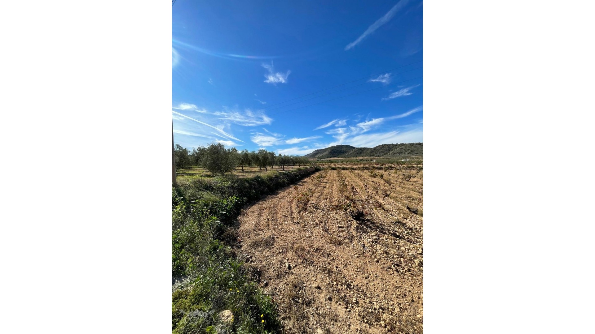 Venta - Finca Propiedad rural -
Cañada de la Leña - Canada de la Lena Murcia