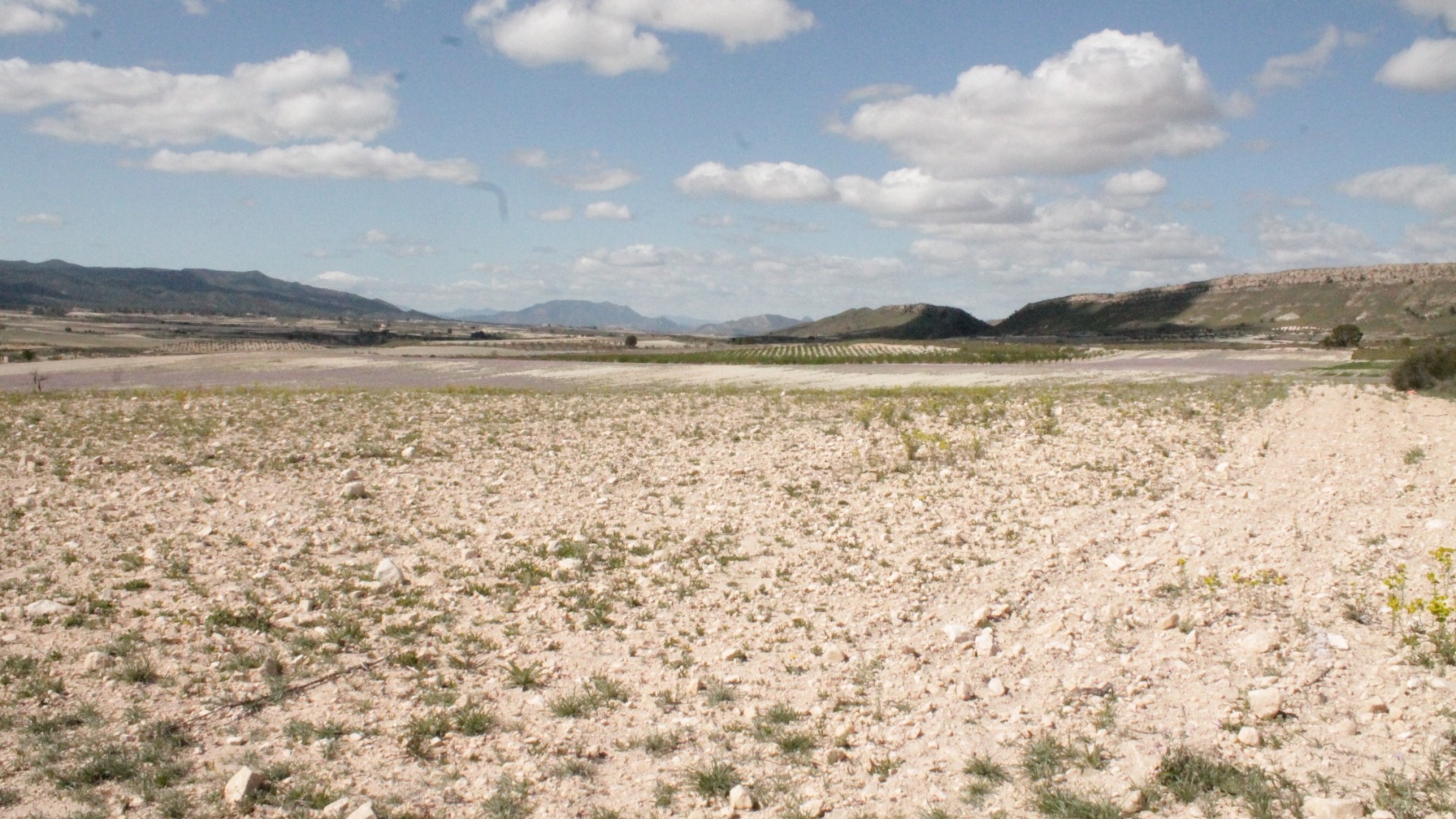 Venta - Finca Propiedad rural -
Cañada del Trigo - Canada del Trigo Murcia