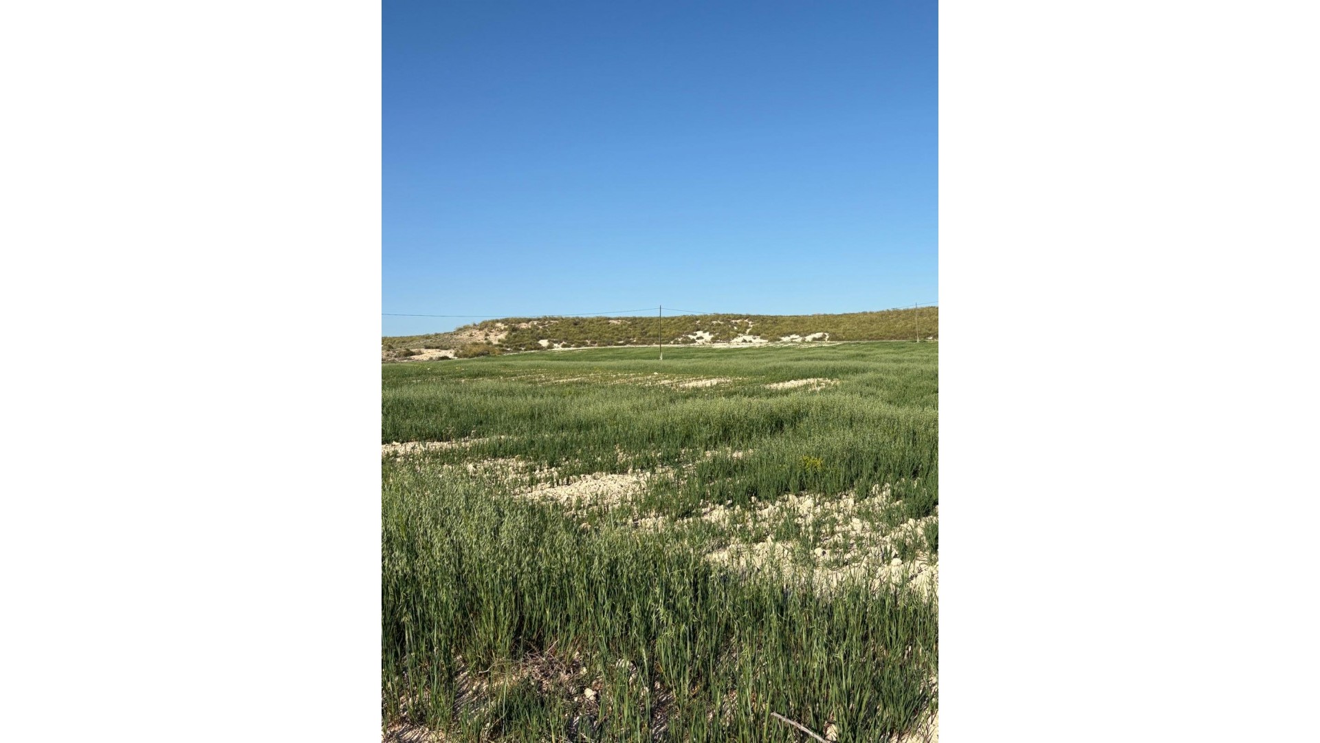 Venta - Finca Propiedad rural -
Cañada del Trigo - Canada del Trigo Murcia