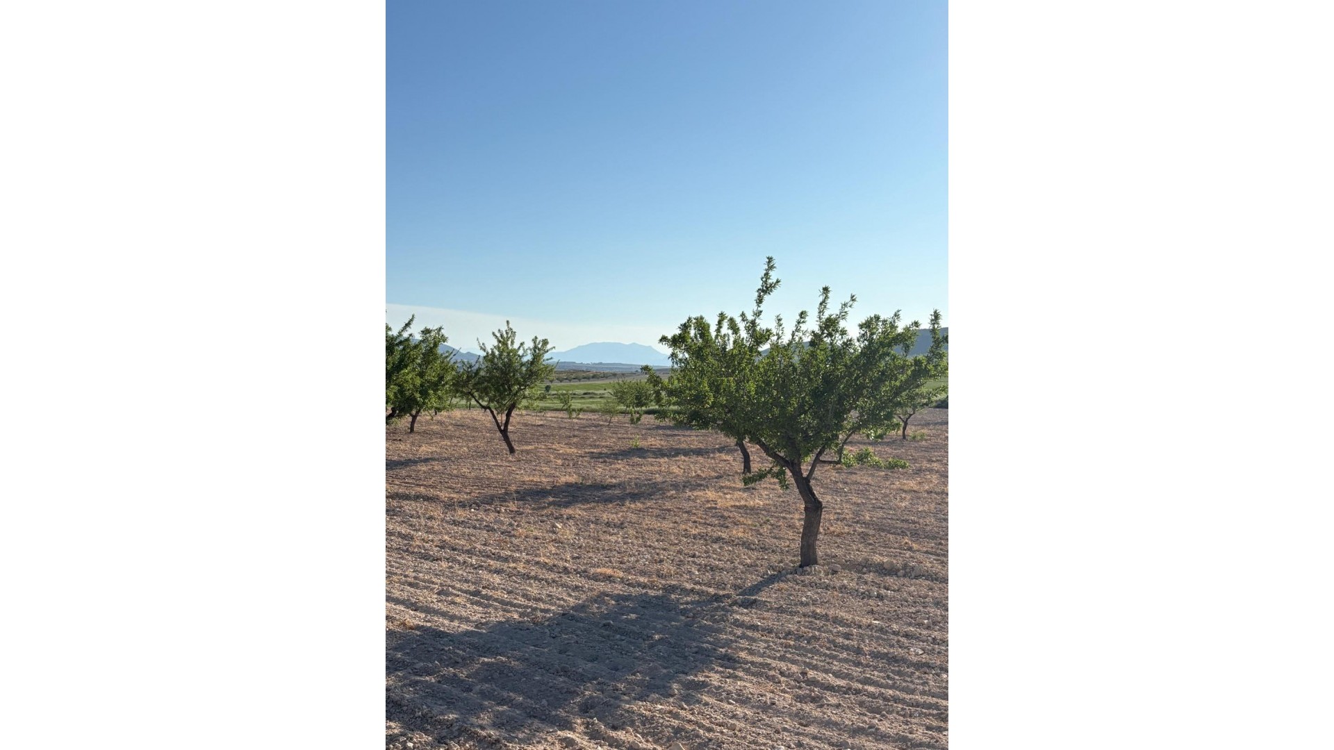 Venta - Finca Propiedad rural -
Cañada del Trigo - Canada del Trigo Murcia