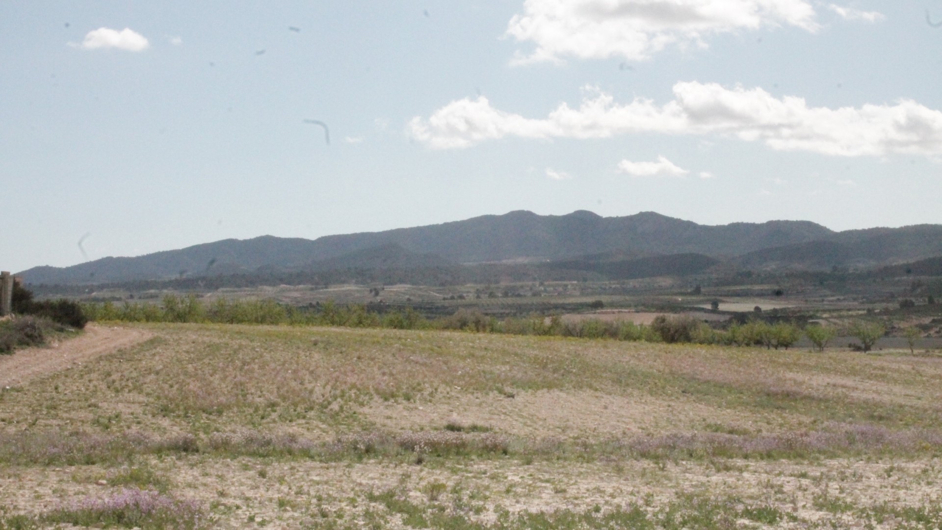 Venta - Finca Propiedad rural -
Cañada del Trigo - Canada del Trigo Murcia