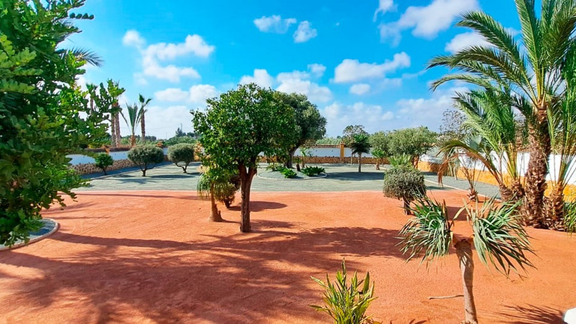 Venta - Finca Propiedad rural -
Catral - Catral - Country