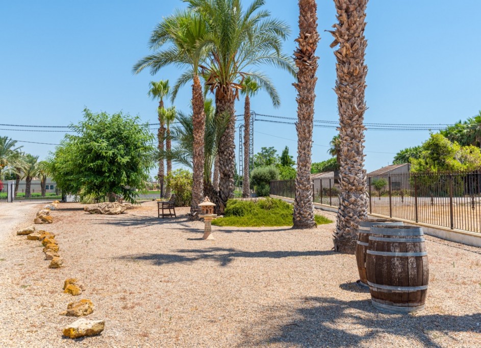 Venta - Finca Propiedad rural -
Catral