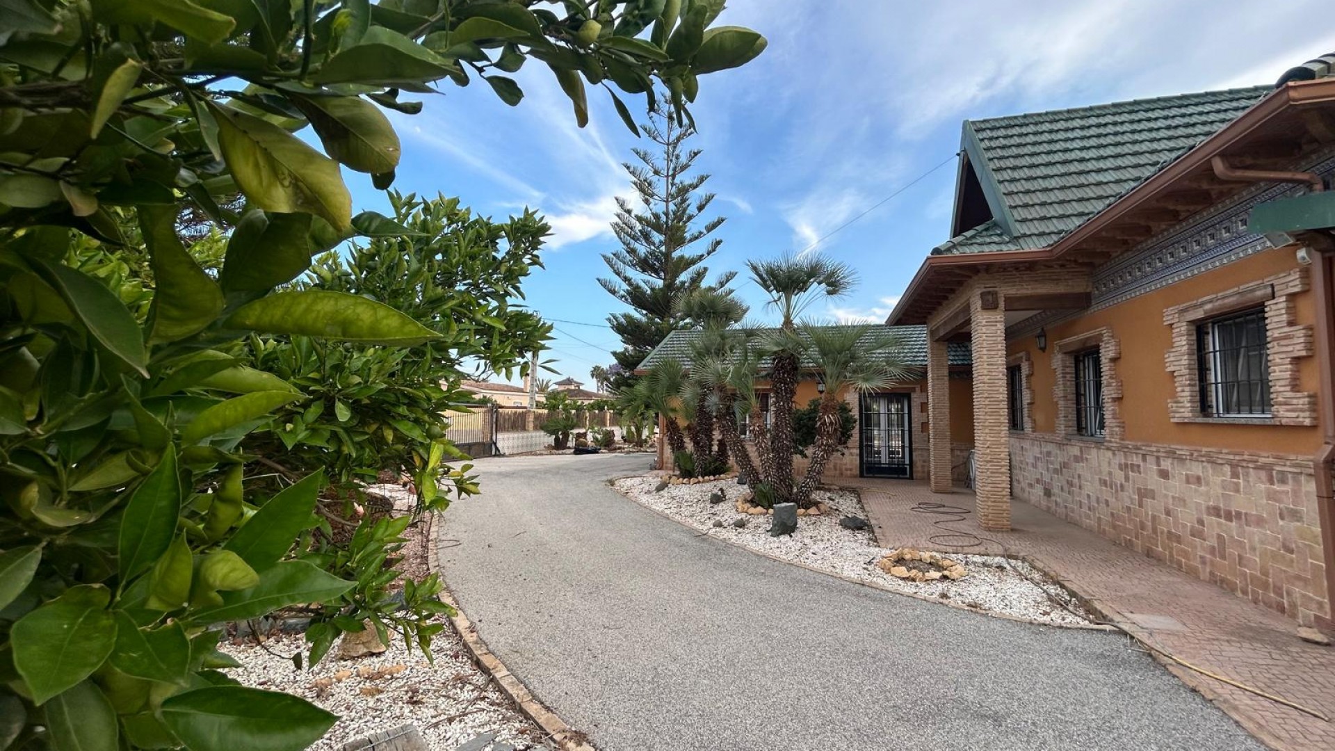 Venta - Finca Propiedad rural -
Catral