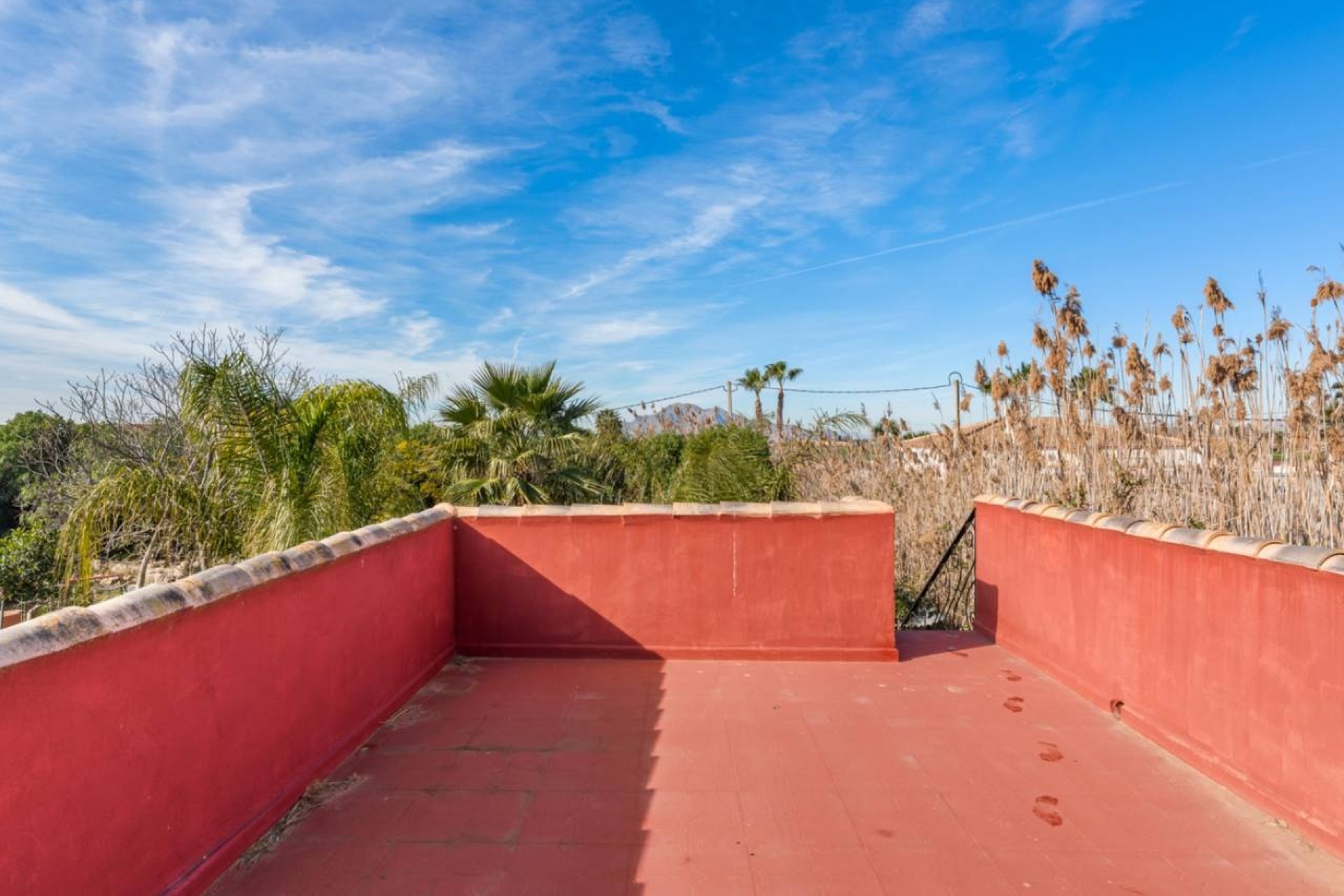 Venta - Finca Propiedad rural -
Catral