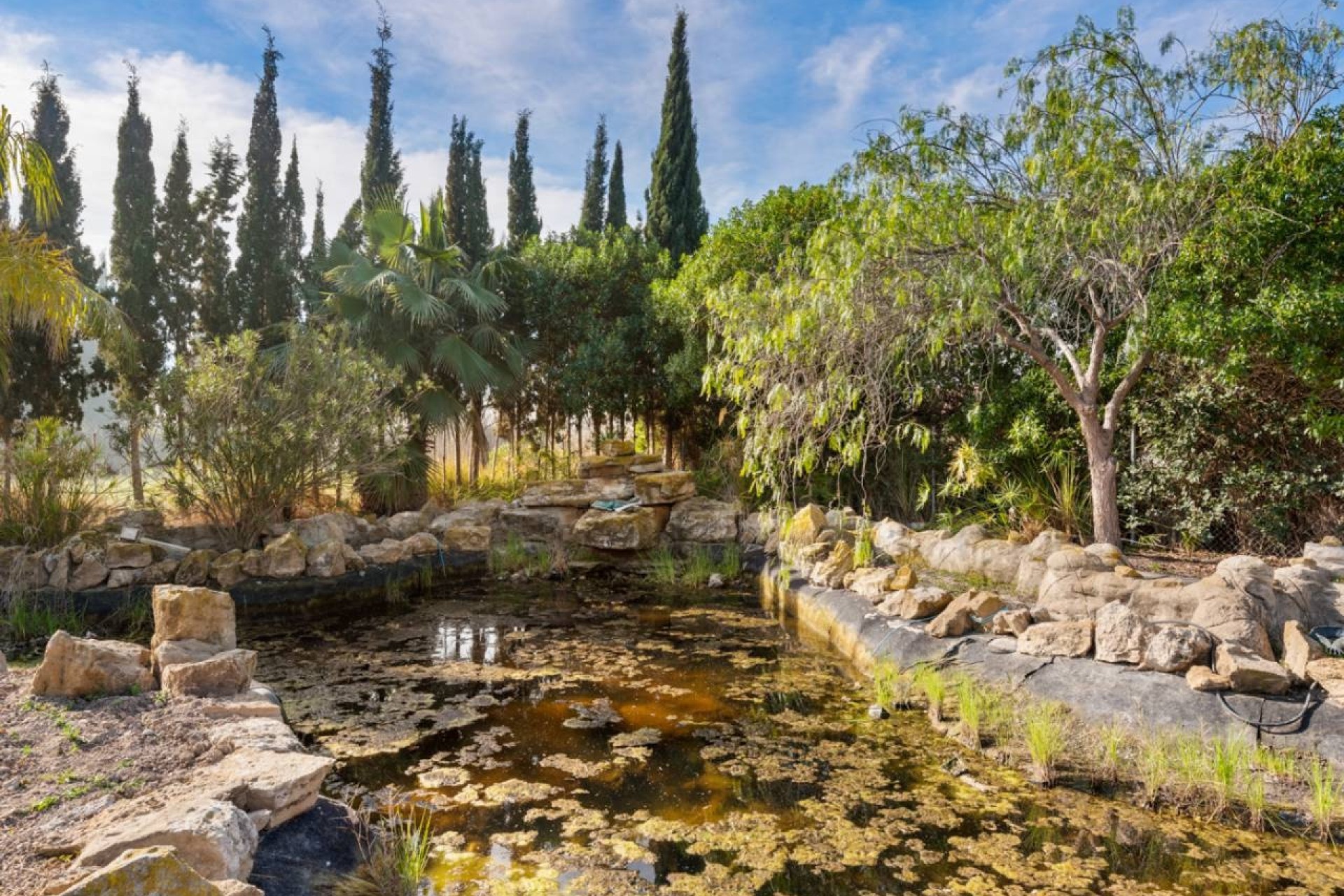 Venta - Finca Propiedad rural -
Catral