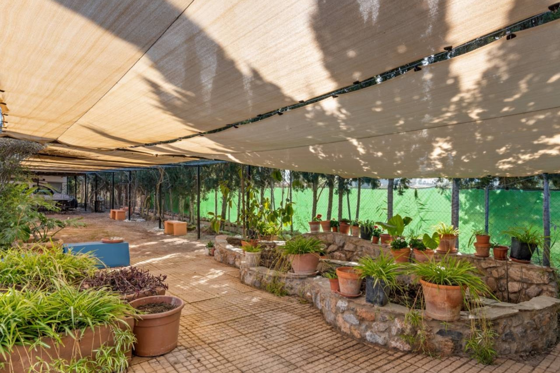 Venta - Finca Propiedad rural -
Catral