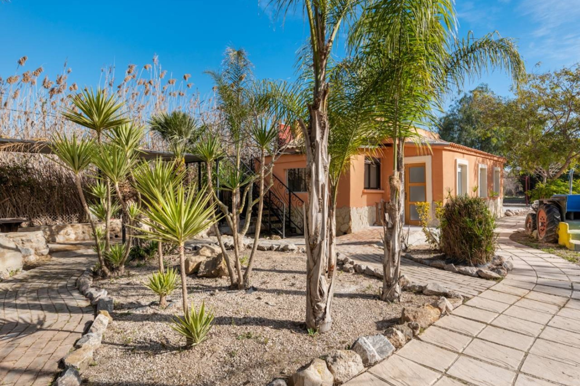 Venta - Finca Propiedad rural -
Catral