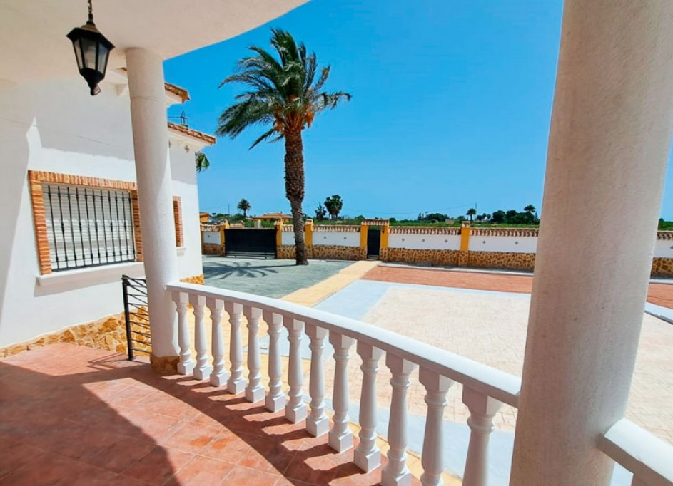 Venta - Finca Propiedad rural -
Catral