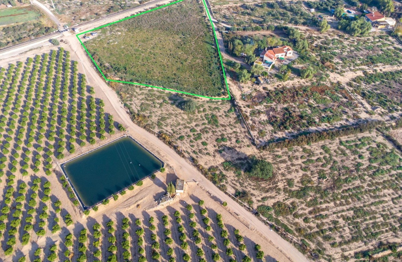 Venta - Finca Propiedad rural -
Crevillente - Comunidad valenciana