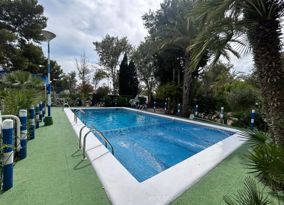 Venta - Finca Propiedad rural -
Crevillente