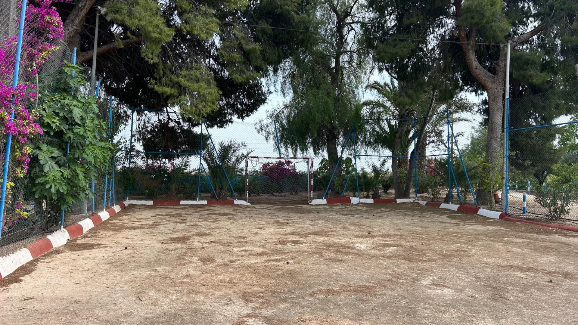 Venta - Finca Propiedad rural -
Crevillente