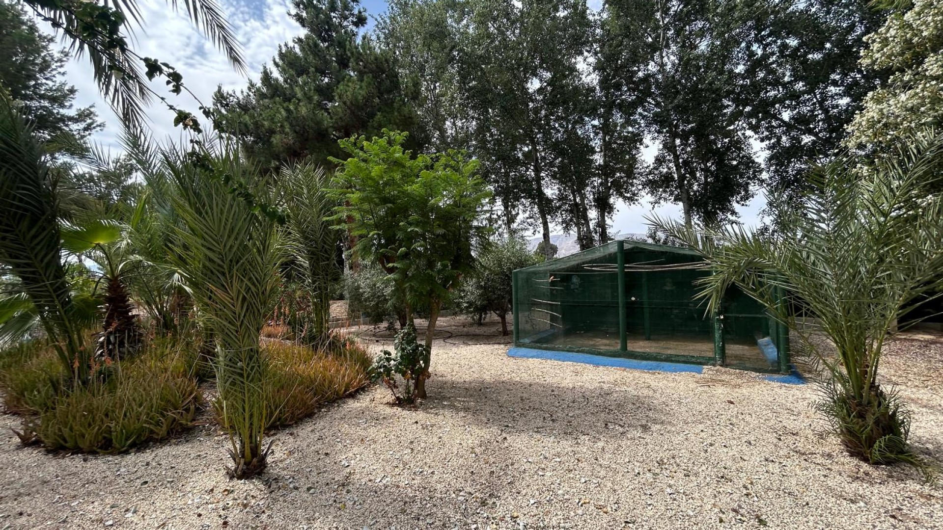 Venta - Finca Propiedad rural -
Crevillente