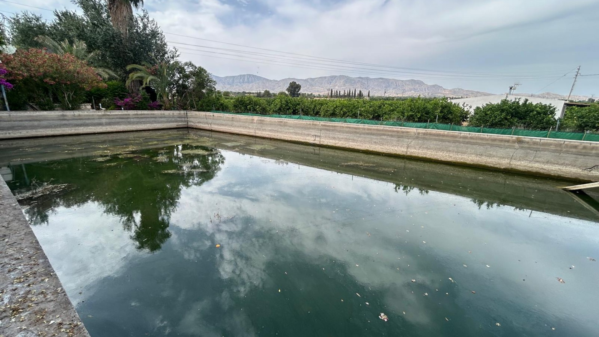 Venta - Finca Propiedad rural -
Crevillente