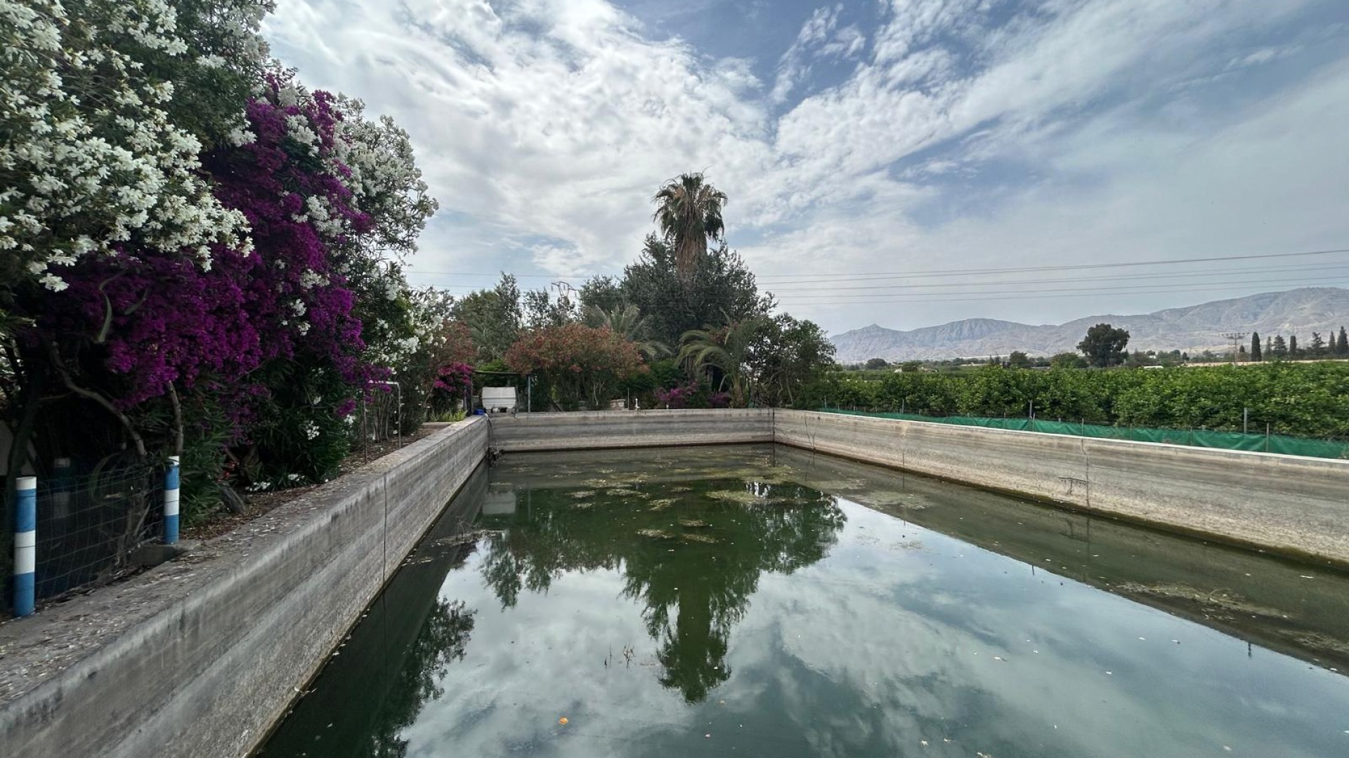 Venta - Finca Propiedad rural -
Crevillente