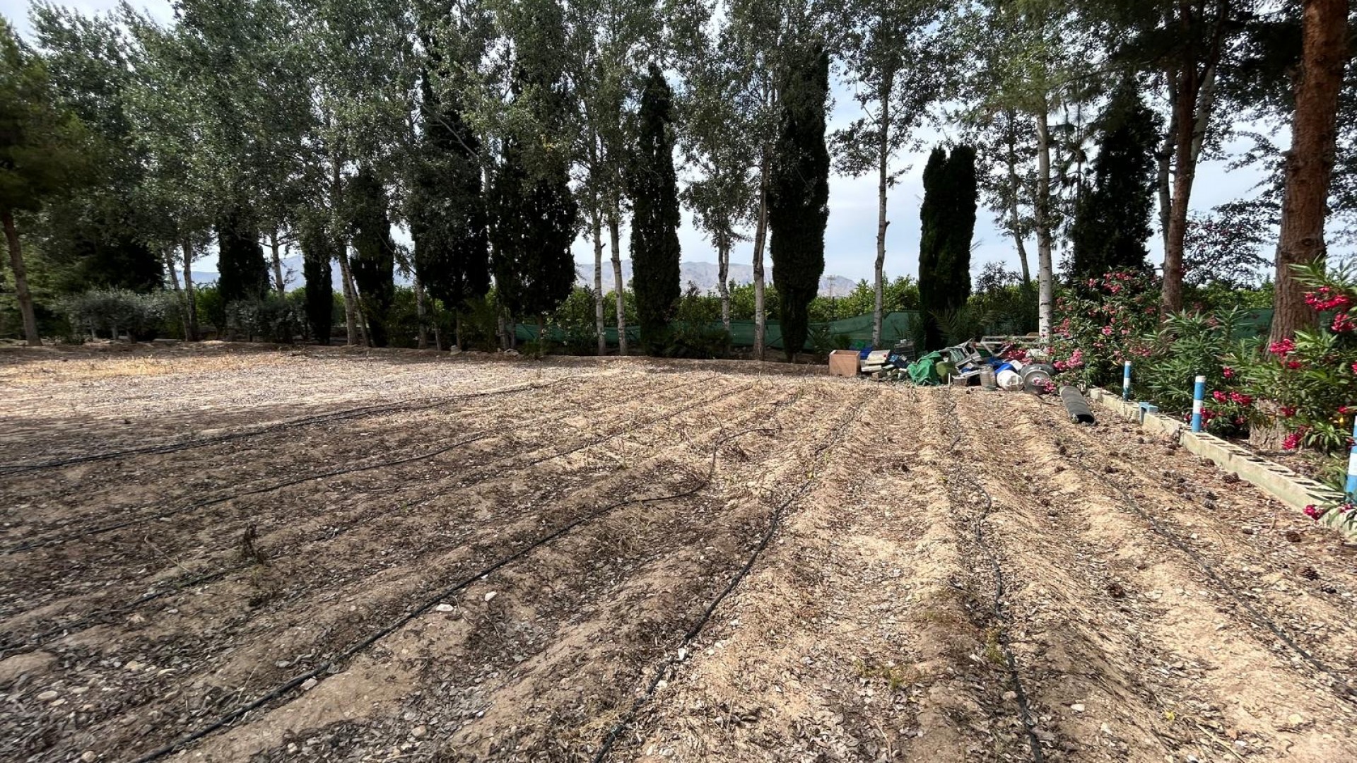 Venta - Finca Propiedad rural -
Crevillente