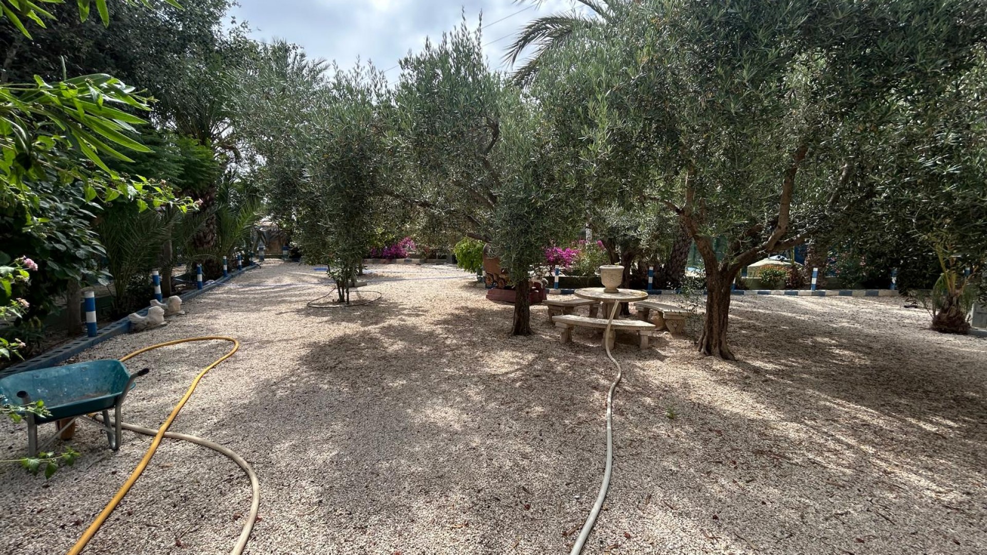 Venta - Finca Propiedad rural -
Crevillente