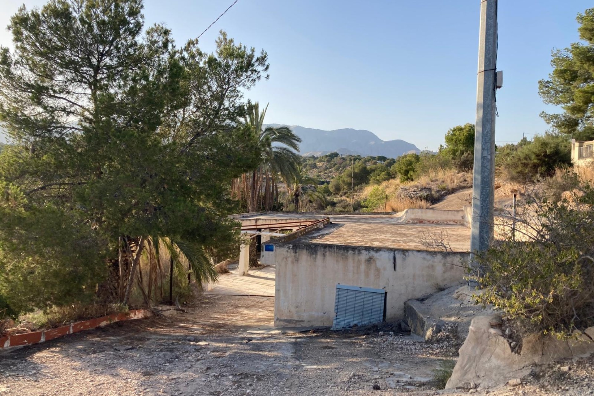 Venta - Finca Propiedad rural -
Crevillente