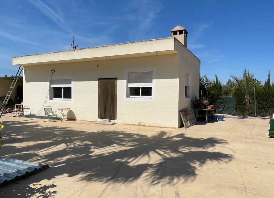 Venta - Finca Propiedad rural -
Crevillente
