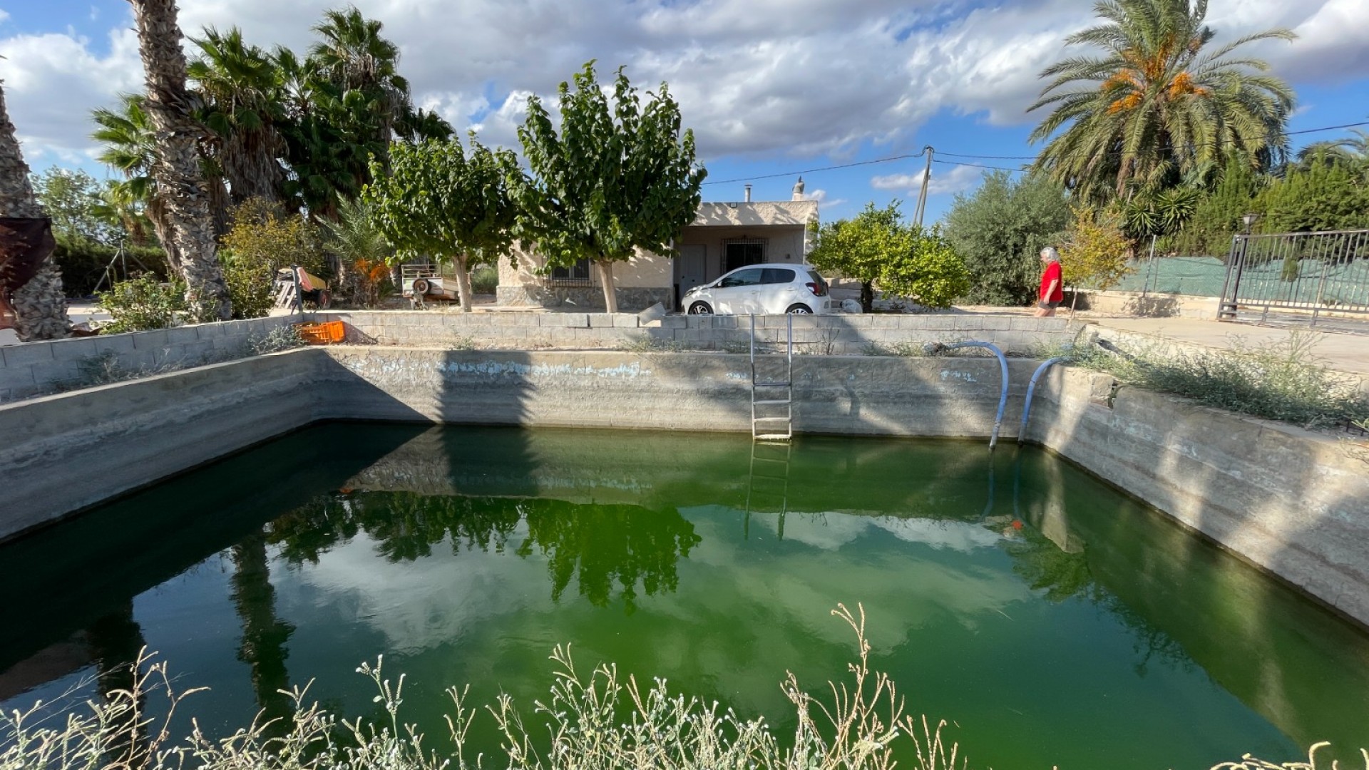 Venta - Finca Propiedad rural -
Crevillente