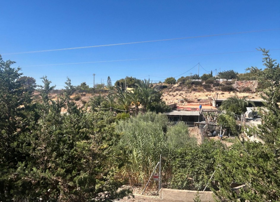 Venta - Finca Propiedad rural -
Crevillente