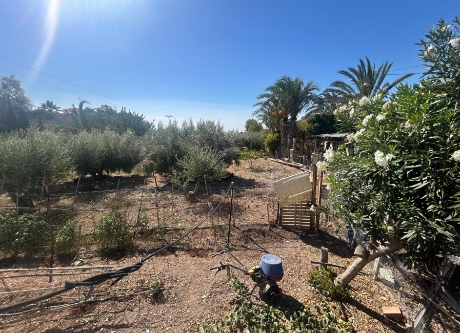 Venta - Finca Propiedad rural -
Crevillente