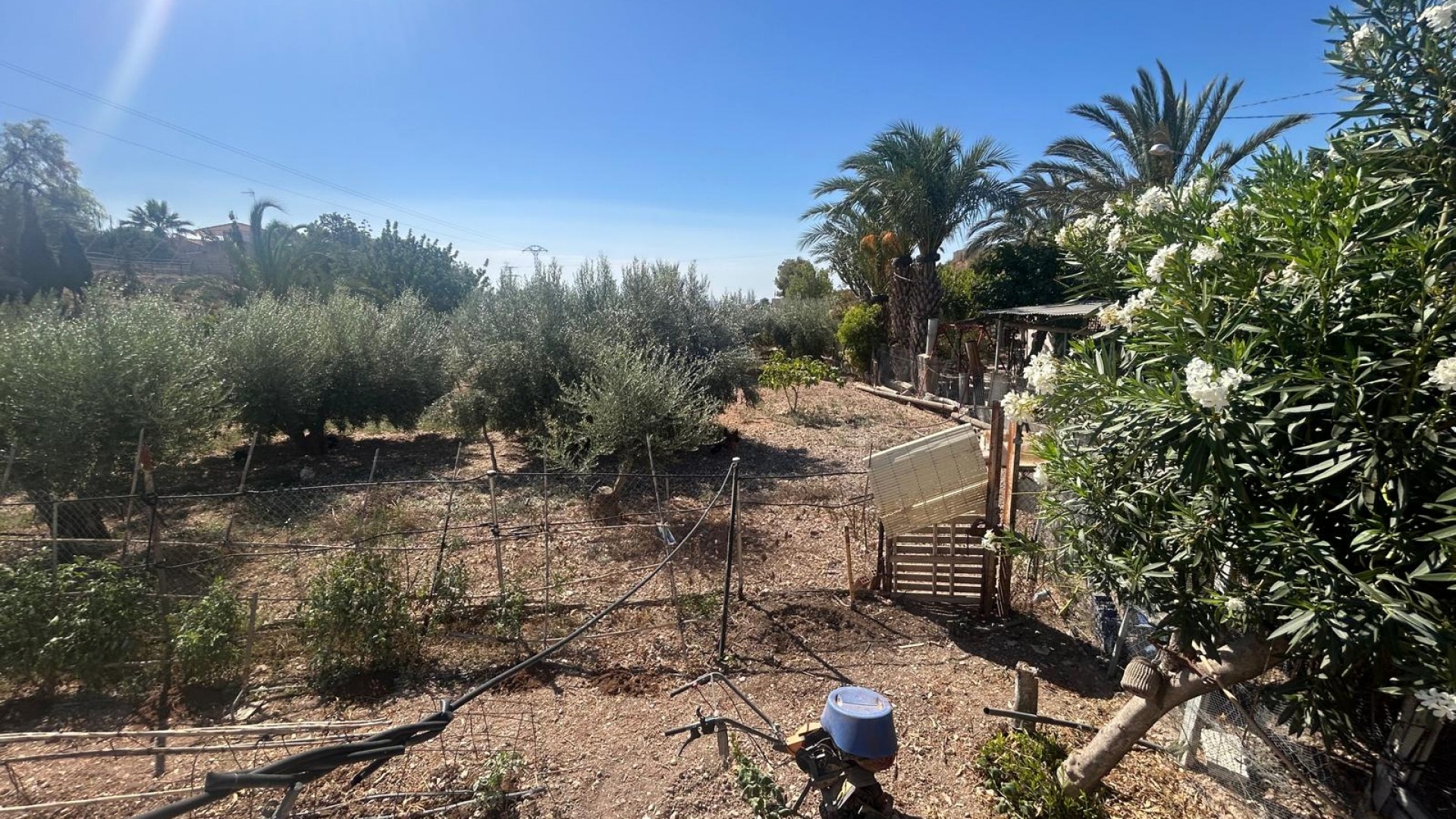 Venta - Finca Propiedad rural -
Crevillente